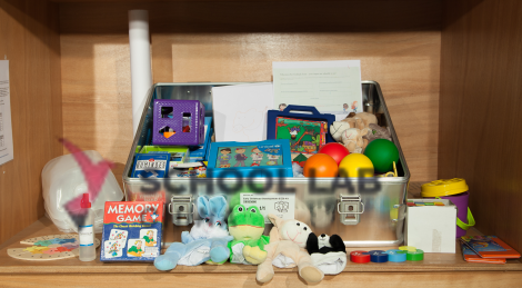 Early Childhood Dvt (ECD) kit, 2016